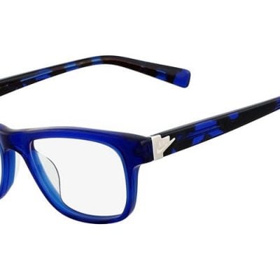 Nike Glasses 5519