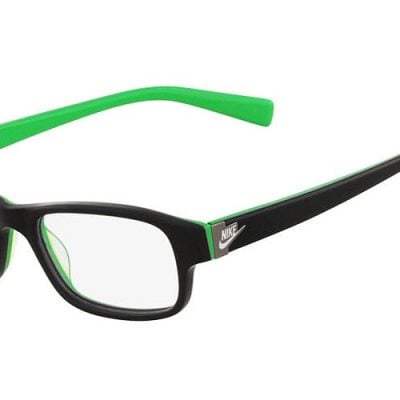 Nike Glasses 5528