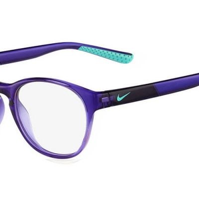 Nike Glasses 5533