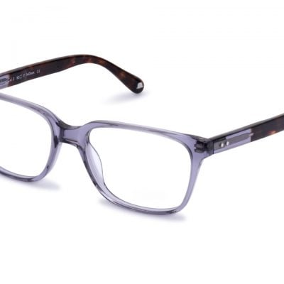 Walter and Herbert Glasses Dickens