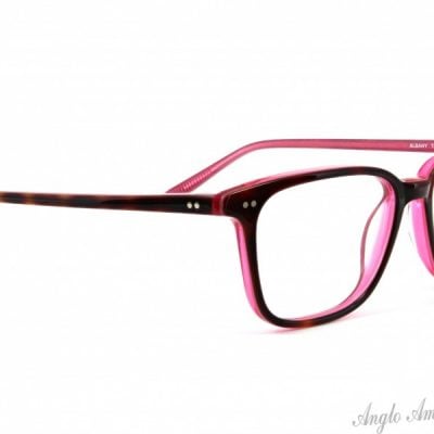 Anglo American Optical Glasses Albany