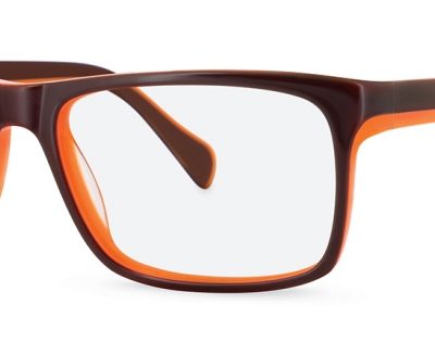 Basebox Glasses BB 6019