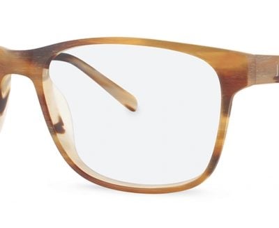 Jensen Glasses JN 8020