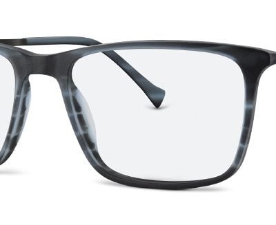 Jensen Glasses JNB 407T