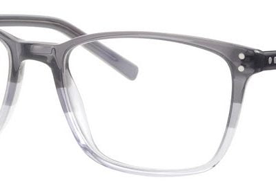 Synergy Glasses 6004