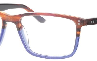 Synergy Glasses 6006
