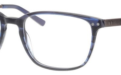Synergy Glasses 6007