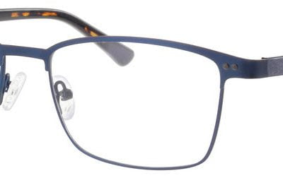 Synergy Glasses 6011