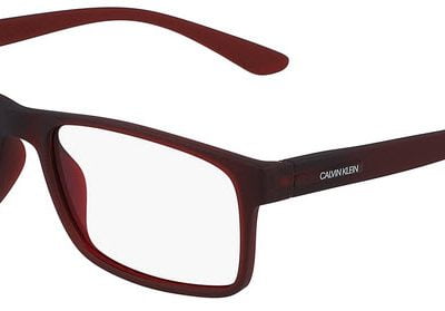 Calvin Klein Glasses CK 19569