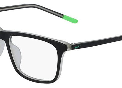 Nike Glasses 5541