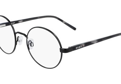 DKNY Glasses DK 3003