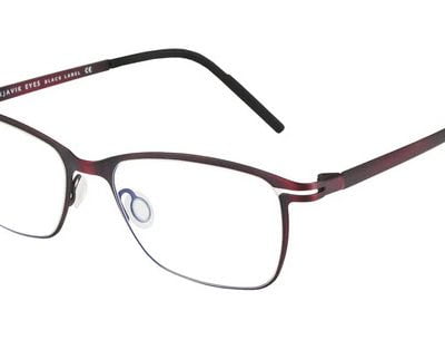 Reykjavik Eyes Glasses Aron