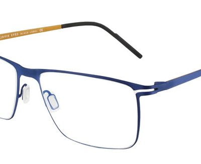 Reykjavik Eyes Glasses Odin