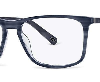 Land Rover Glasses Arthur