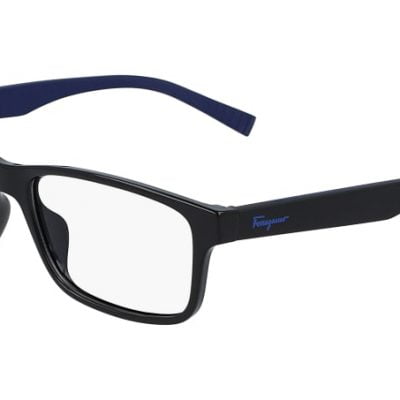 Salvatore Ferragamo Glasses SF 2848