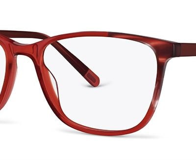 Eco Conscoius Glasses Dracaena