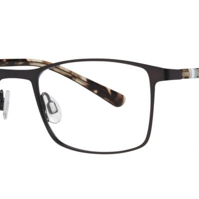 Nifties Glasses NI 8479