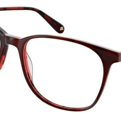 Walter and Herbert Glasses Ayrton