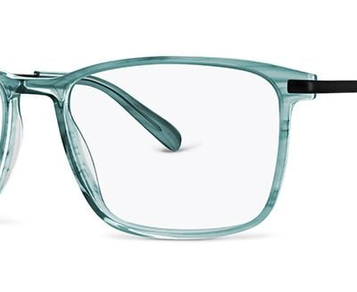 Jensen Glasses JN 8051