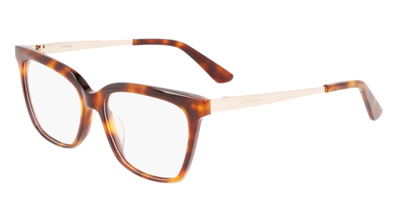 Calvin Klein Glasses CK 22509 | Bowden Opticians