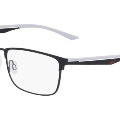 Nike Glasses 4314
