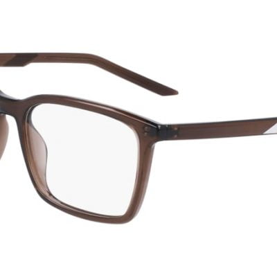 Nike Glasses 7256