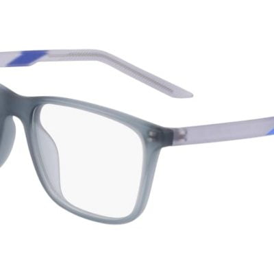Nike Glasses 5543