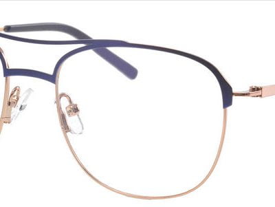 Synergy Glasses 6037