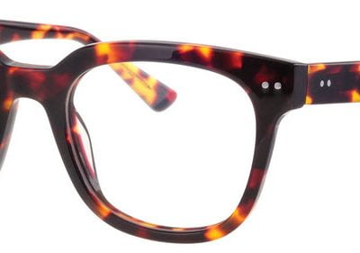 Synergy Glasses 6043