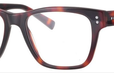 Synergy Glasses 6048