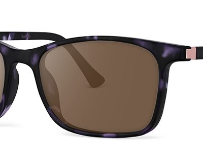 Eco Conscious Glasses Sugar Palm