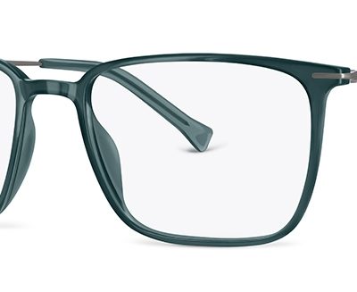 Jensen Glasses JNB 420