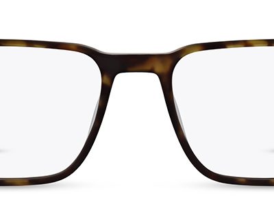 Land Rover Glasses Elden