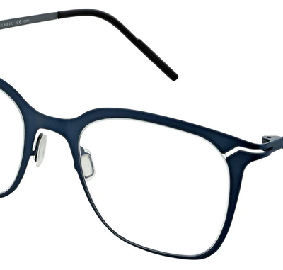 Reykjavik Eyes Glasses Larus