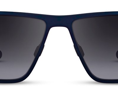 Range Rover Sunglasses RRS 112