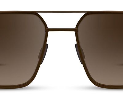 Range Rover Sunglasses RRS 113