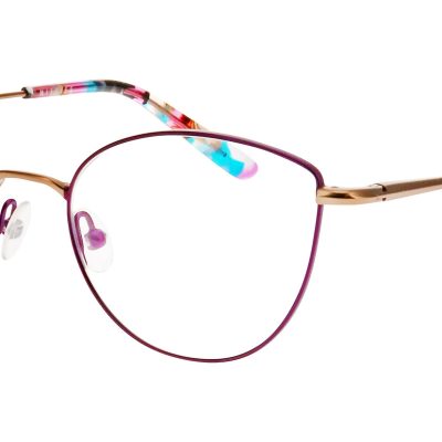 Nifties Glasses NI 8546