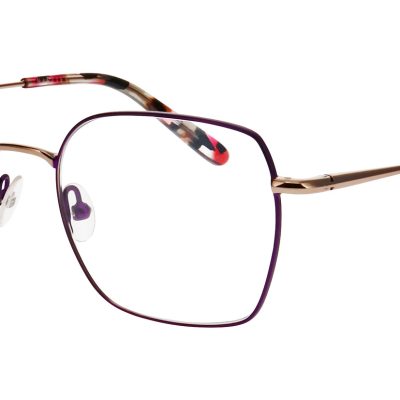 Nifties Glasses NI 8547