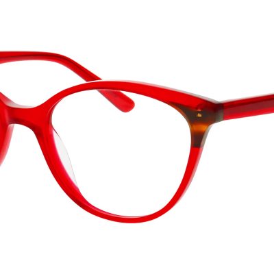 Nifties Glasses NI 9527