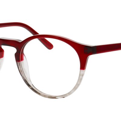 Nifties Glasses NI 9529