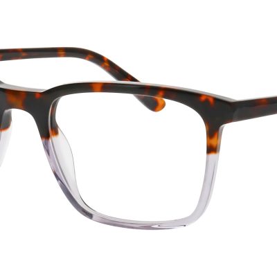 Nifties Glasses NI 9530