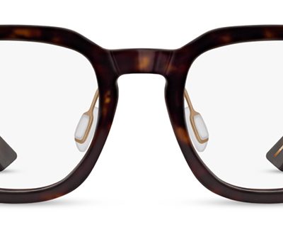 Range Rover Glasses RR3047A