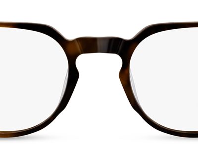 Range Rover Glasses RR3049A