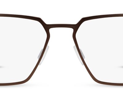 Range Rover Glasses RR3051M