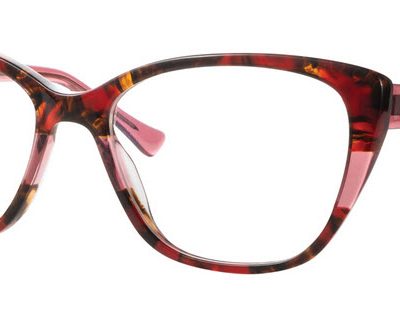 Synergy Glasses 6065