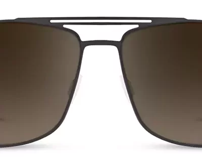 Range Rover Sunglasses RRS 115