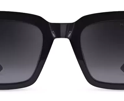 Range Rover Sunglasses RRS 313