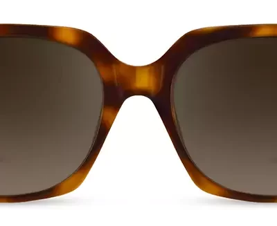 Cocoa Mint Sunglasses CMS 2138