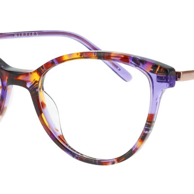 Nifties Glasses NI 9545