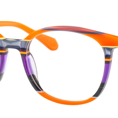 Synergy Glasses 6069